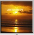 /album/photo-gallery-canvas-uri/decoratiuni-de-perete-canvas-lc-0662-jpg/